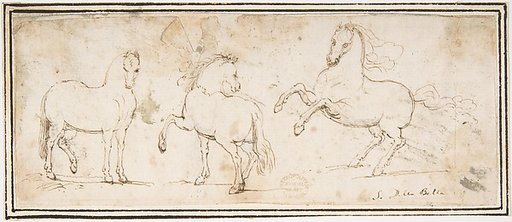 Horses