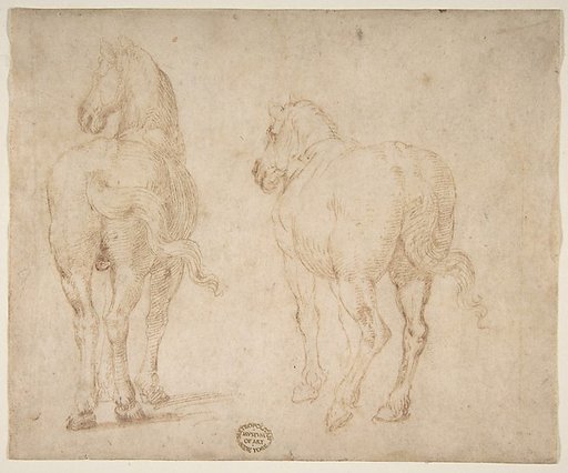Horses
