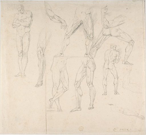 Nude Study
