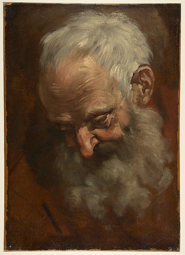 Head of a Bearded Man (Nicodemus)