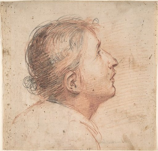 Youth Gazing Upwards in Profile