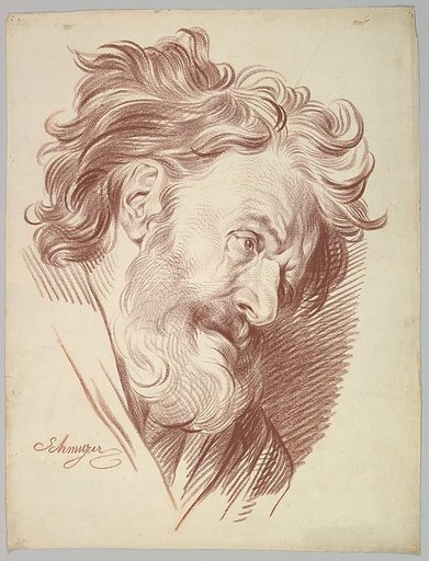 Profile of a Bearded Old Man Looking Right