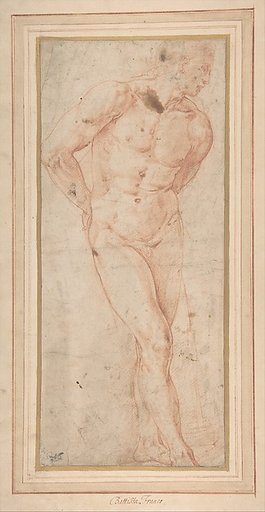 Standing Male Nude with Hands behind Back