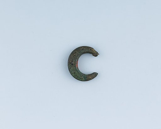 Buckle Loop