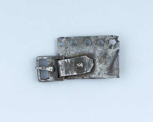 Buckle
