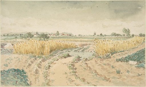 Wheatfields