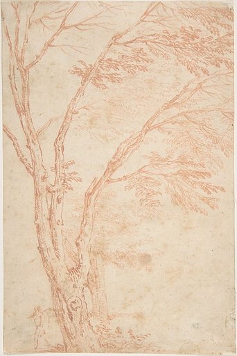 A tree and figure