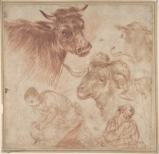 Studies of Animal Heads and Figures