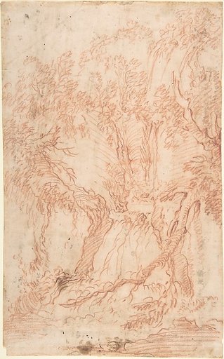 Trees and Rocks