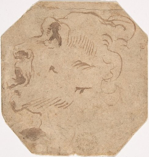 Head of a Man in Profile