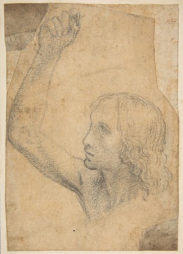 Youth with Right Arm Raised in a Shoulder-Length Portrayal (preparatory study for St. Sebastian)