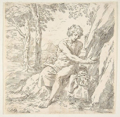 Saint John the Baptist in the desert