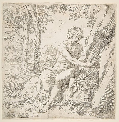 Saint John the Baptist in the desert