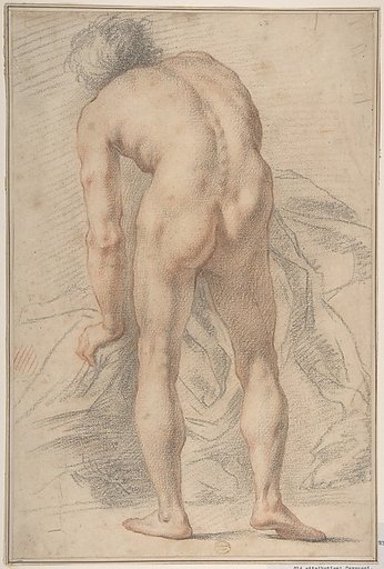 Nude Male Figure, Rear View