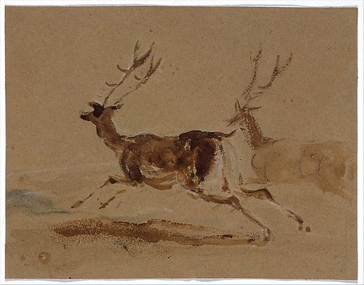 Two stags running
