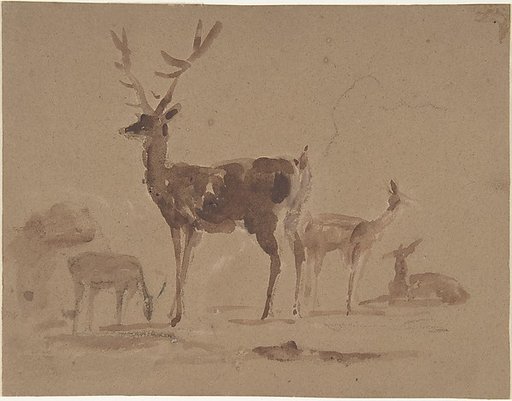 Stag and does