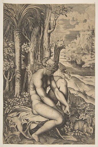 Venus removing a thorn from her left foot while seated on a cloth beside trees and foliage, a hare eating grass before her