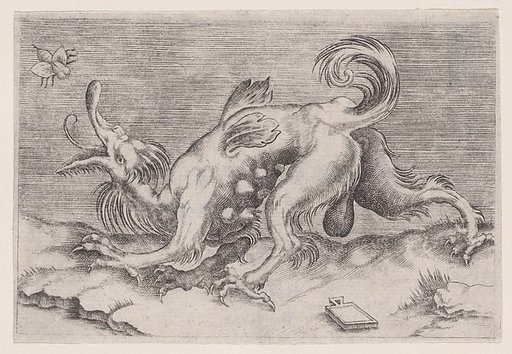The Dragon and the Bee