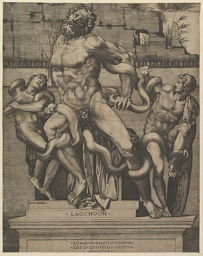 Laocoon, from "Speculum Romanae Magnificentiae"