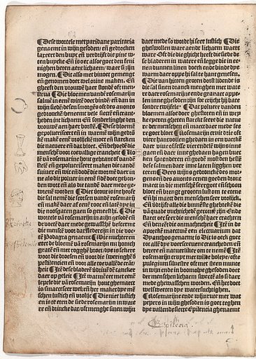 De(n) grote(n) herbari met al sijn figuere(n)