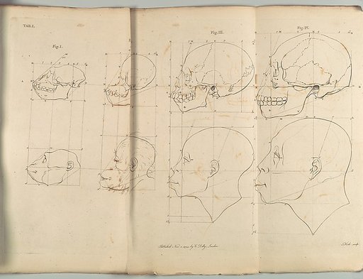 The Works of the late Professor Camper, on The Connexion [sic] between the Science of Anatomy and The Arts of Drawing, Painting, Statuary &c. &c.