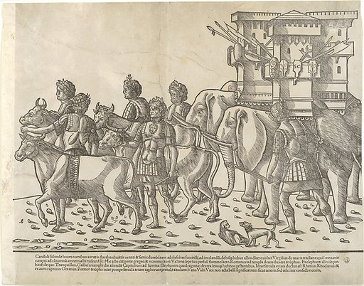 Oxen and elephants, from "The Triumph of Caesar"