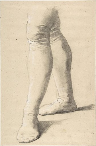 Study of Legs
