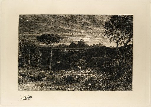 Opening the Fold, or Early Morning