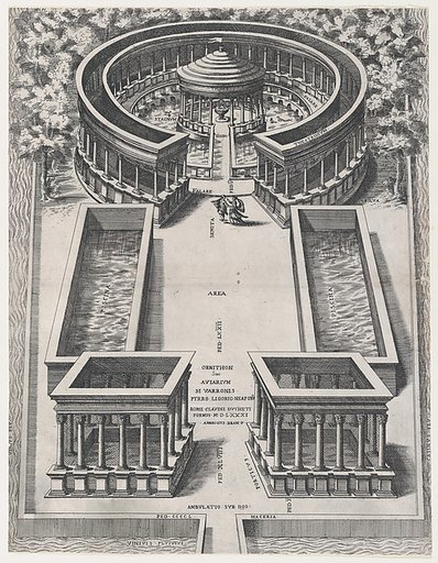 Ornithon Sive Aviarum, from "Speculum Romanae Magnificentiae"