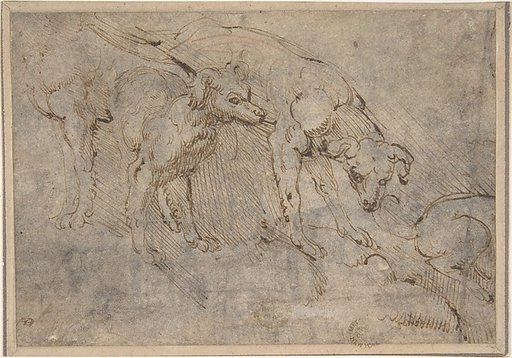 Studies of a Dog