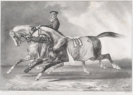Two Dappled-Grey Horses Being Exercised