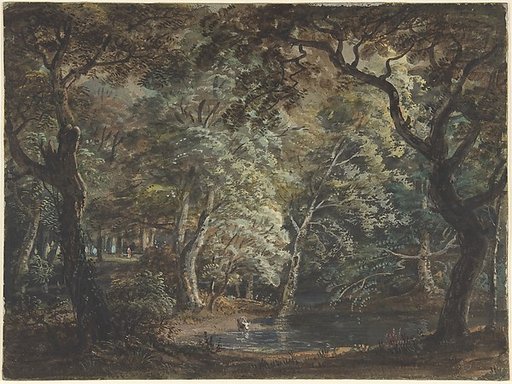 Windsor Great Park