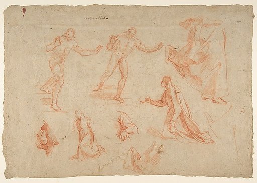 Figure and Drapery studies (recto); Three Studies of a Male Torso for the "Coronation of Marcantonio Pasqualini" (verso)