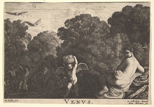 Realm of Venus