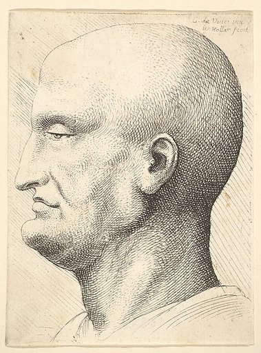 Head of a bald man in profile to left