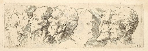 Head studies