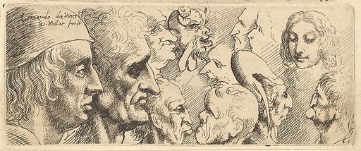 A variety of heads