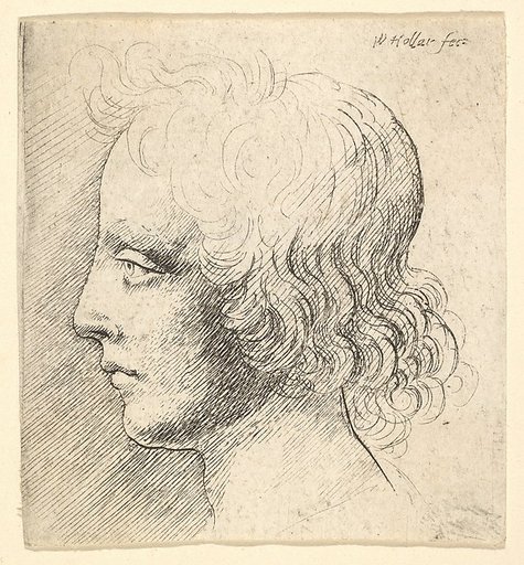 Head of Young Man