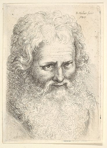 Head of an old man with a large beard