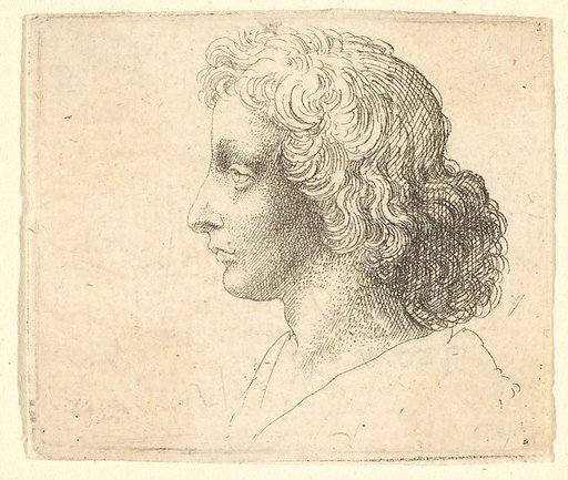 Head of young man with long hair in profile to the left