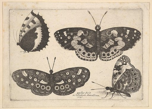 Four Butterflies