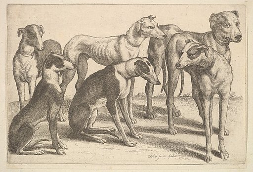 Six Hounds
