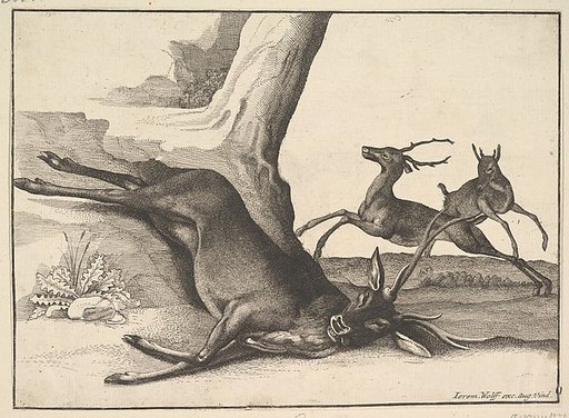 A dead stag (anonymous copy)