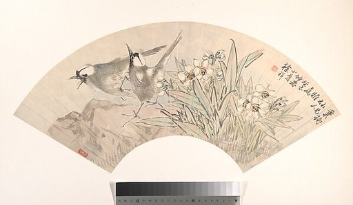 Birds and Narcissus