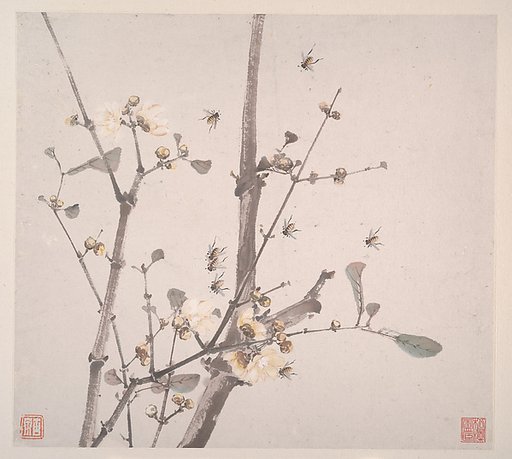 Insects and Flowers