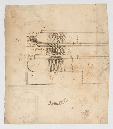 Forum of Augustus, hemicycle, Attic base, elevation and sculpted detail; Ionic capital, elevation; Palazzo Baldassini, cortile, elevation (recto) blank (verso)