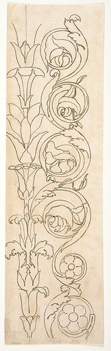 Ornamental drawings (recto) blank (verso)