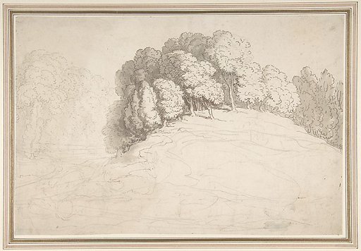 Wooded hillside with deer