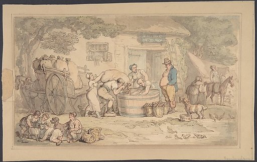 Farming scene