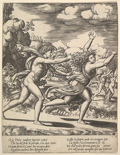 Apollo chasing Daphne who throws her arms up, in the background at right shows the moment she turns in a laurel, from "Story of Apollo and Daphne"